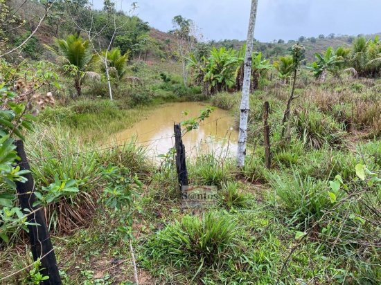 fazenda-venda-proxima-a-governador-valadares-611584