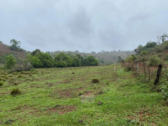 fazenda-venda-proxima-a-governador-valadares-611588