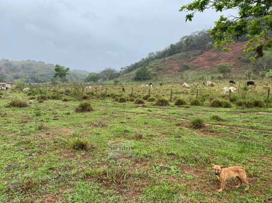 fazenda-venda-proxima-a-governador-valadares-611589