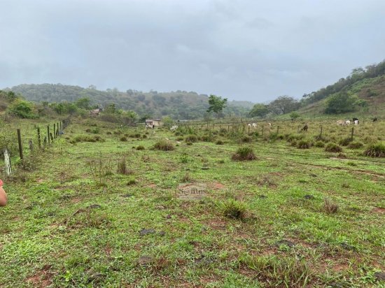 fazenda-venda-proxima-a-governador-valadares-611590