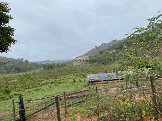 fazenda-venda-proxima-a-governador-valadares-611591