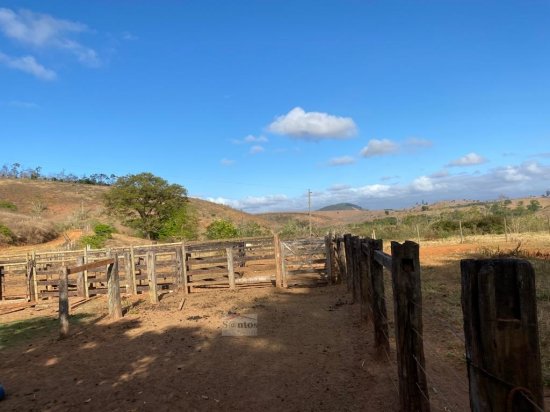 fazenda-venda-proxima-a-governador-valadares-584051