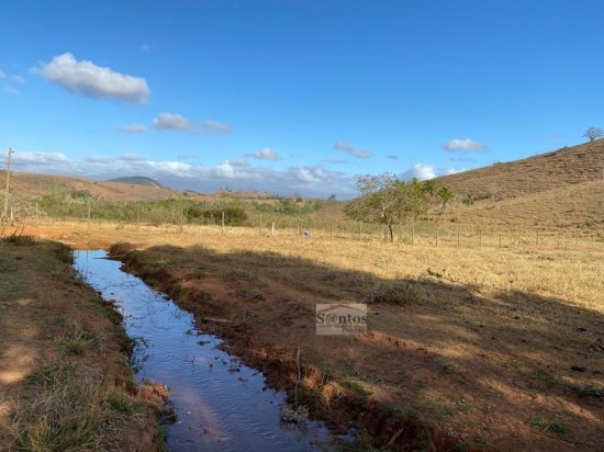 fazenda-venda-proxima-a-governador-valadares-584054