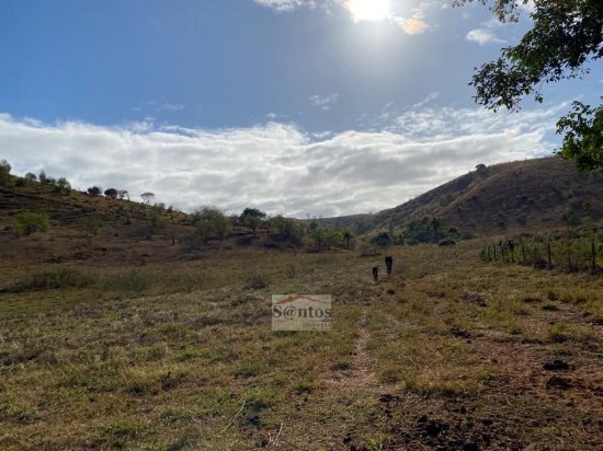 fazenda-venda-proxima-a-governador-valadares-584042