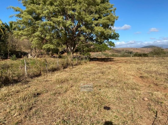 fazenda-venda-proxima-a-governador-valadares-584043