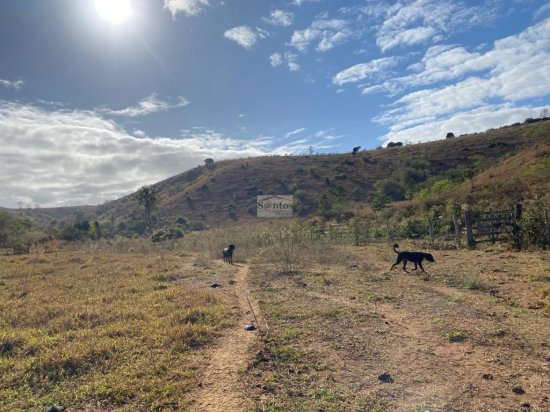 fazenda-venda-proxima-a-governador-valadares-584048