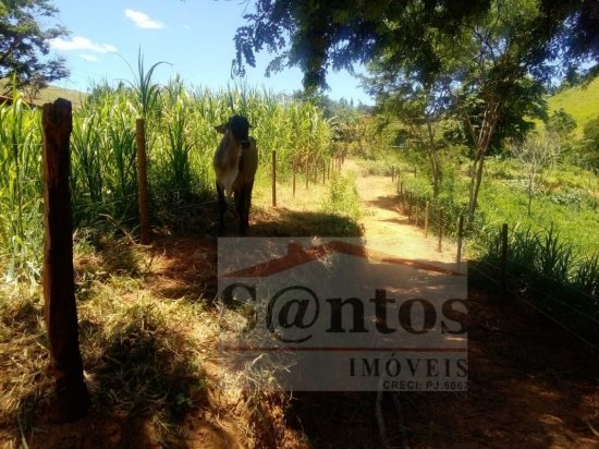 fazenda-venda-proxima-a-governador-valadares-749718