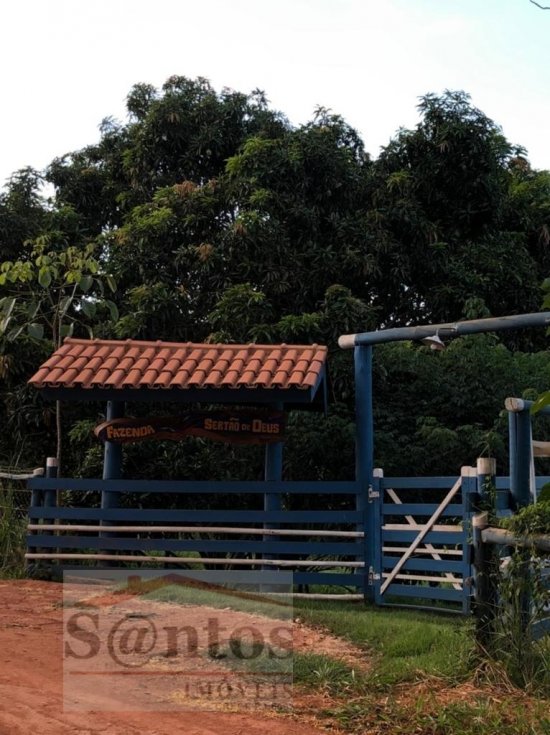 fazenda-venda-proxima-a-governador-valadares-749712