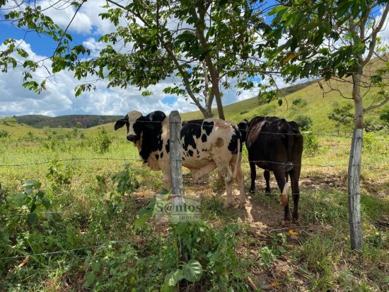 sitio-venda-proxima-a-governador-valadares-483273