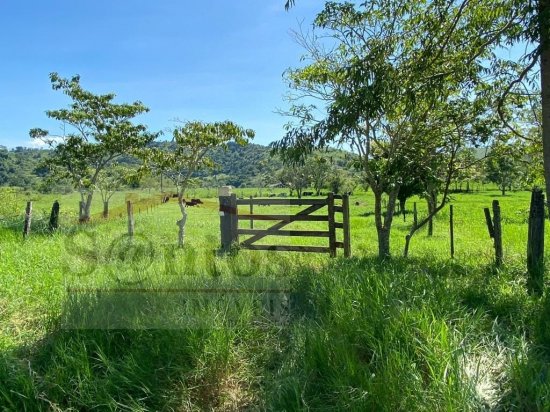 fazenda-venda-proxima-a-governador-valadares-687589