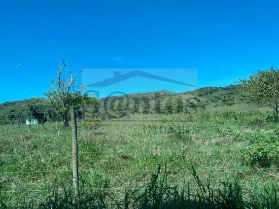 fazenda-venda-proxima-a-governador-valadares-687593